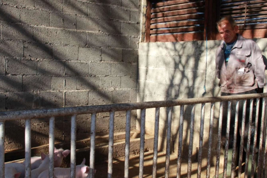 Životna priča mesara iz Srema: Dokumentarni film iz serijala "Počudište" će vas zapanjiti