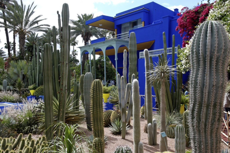 Zavirite u nekadašnji dom Iva Sen Lorana u Marakešu: Vatromet boja i živopisni vrt od 1.800 kaktusa (VIDEO)