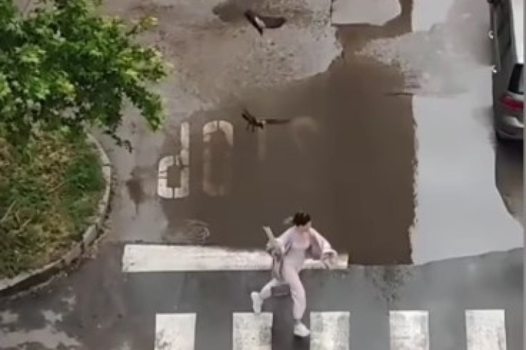 Gore nego u horor filmu! Vrane u Nišu poludele, napadaju ljude po ulici: Devojka počela da vrišti od straha, a onda je usledio užas (VIDEO)