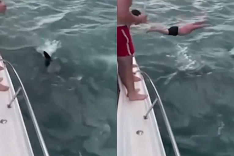Igrao se životom u suludom aktu sa kitom ubicom: Muškarac skočio na orku da je "potopi", pa popio kaznu (VIDEO)
