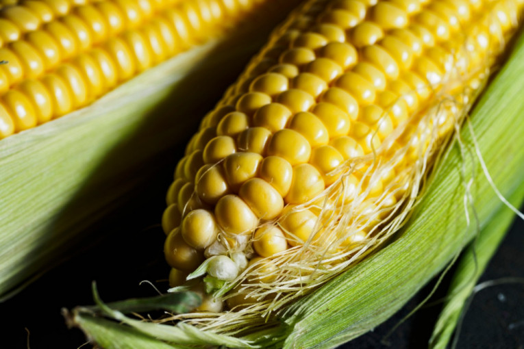 Pad cena kukuruza i pšenice, soja poskupljuje