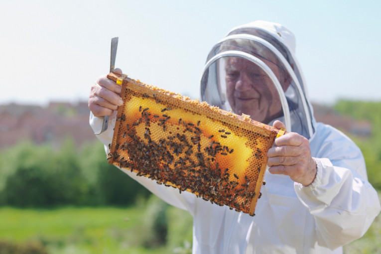 Pčelari proterali nakupce: med bolji, ali skuplji