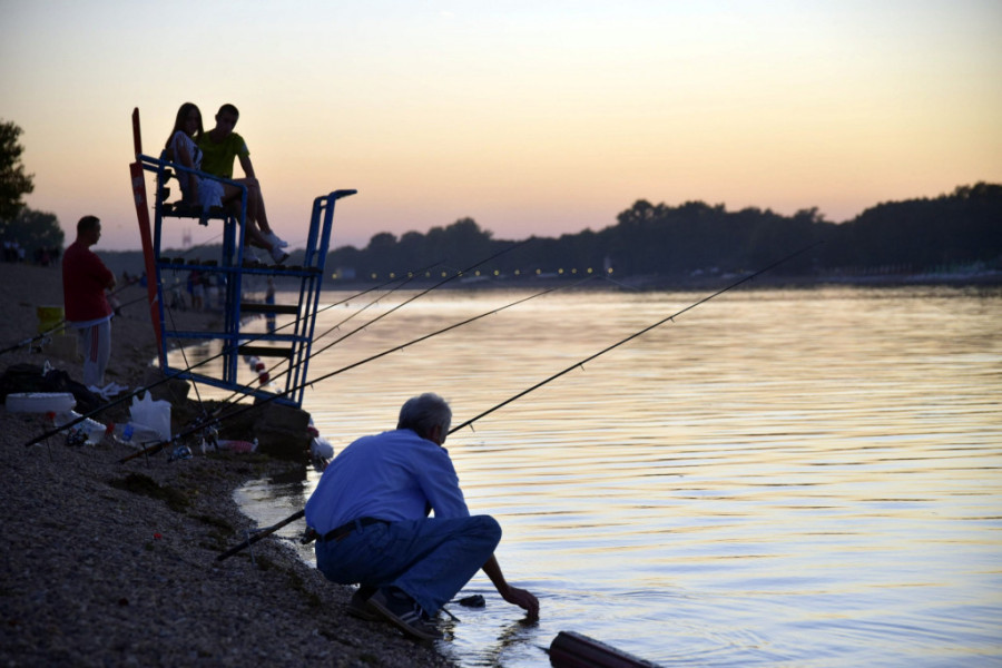 Meduze, kalifornijske kornjače i ribe od 100 kilograma: Šta sve kriju dubine Ade Ciganlije?