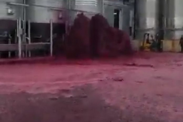 Kako izgleda kada "eksplodira" 50.000 litara vina: Za nekoliko minuta videli su gejzir i reku (VIDEO)