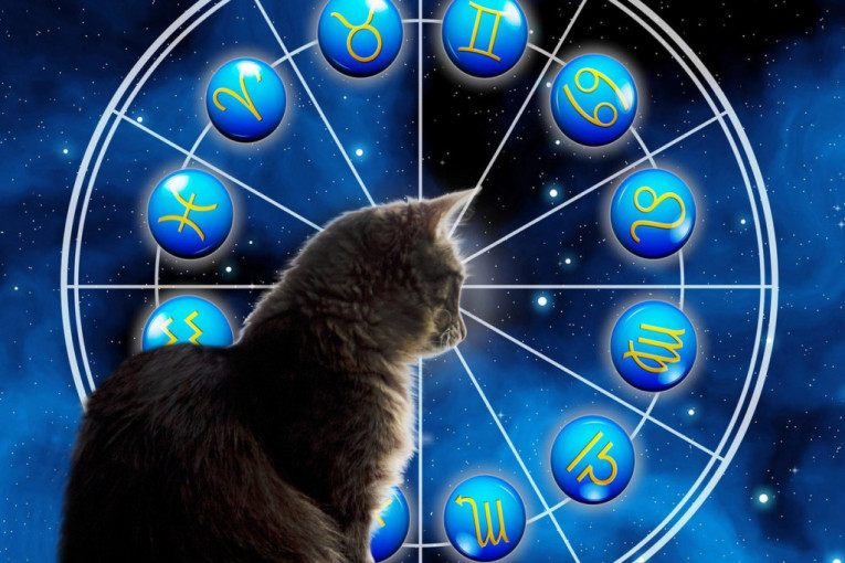 Dnevni horoskop za 13. oktobar: Lava muči pritisak, a Vagi snovi mogu dati odgovor