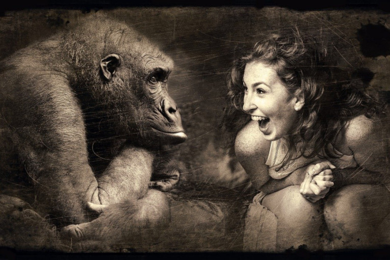 Da li je "krivac" zajednički predak? Ženka babuna drži bebu na levoj ruci kao i čovek