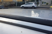 Put do kuće bio je nemoguć: Najezda mušica izluđuje Beograđane(FOTO)