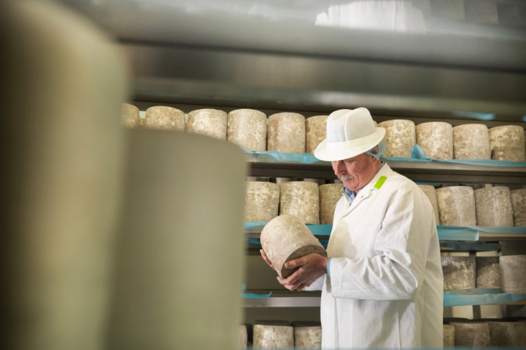 Organski ovčiji sir i kačkavalj: Novi uspeh mladih mlekara iz  Pirota