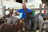 Vratio se iz Švajcarske da uzgaja magarce: Litar mleka košta i do 50 evra
