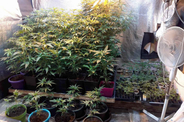 Srbi i Hrvati upleteni u rasturanje droge u Španiji: Pali sa 100 kilograma, zaplenjeno i više od 40.000 evra