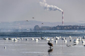 Beograd danas među prvima po zagađenosti u svetu, čestice koje udišemo sitne a opasne