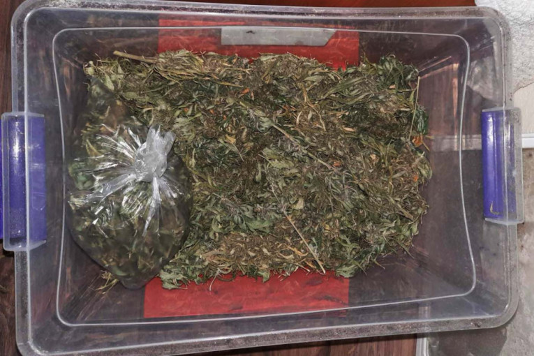 Otkriven štek: Kragujevčanin pao sa marihuanom