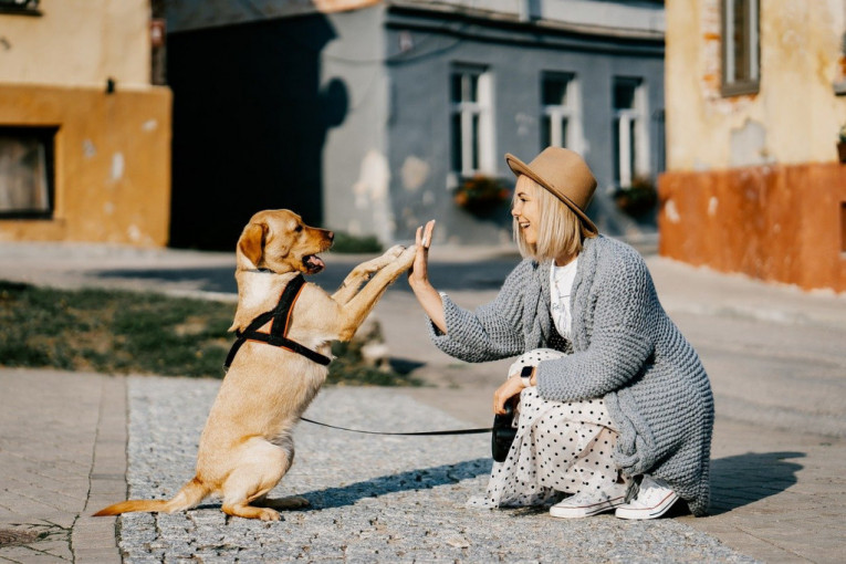 Ljubimac je velika sreća: Ukoliko želite da imate psa, saznajte koliko to mesečno košta u Srbiji