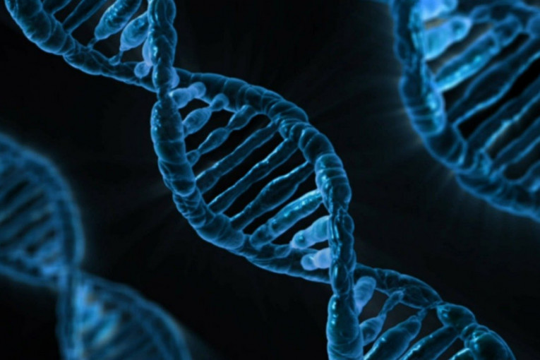 Novo istraživanje pokazalo: Pet gena povezano sa teškim oblicima kovida
