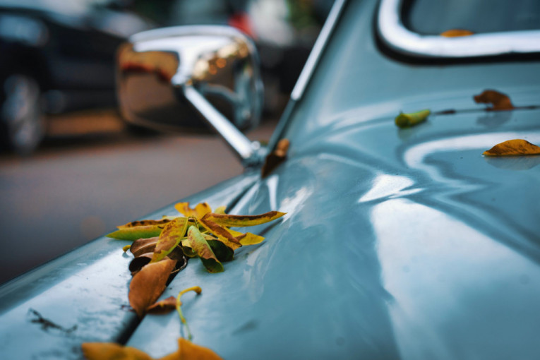 Pripazite: Jesenje lišće može da ošteti vaš automobil!