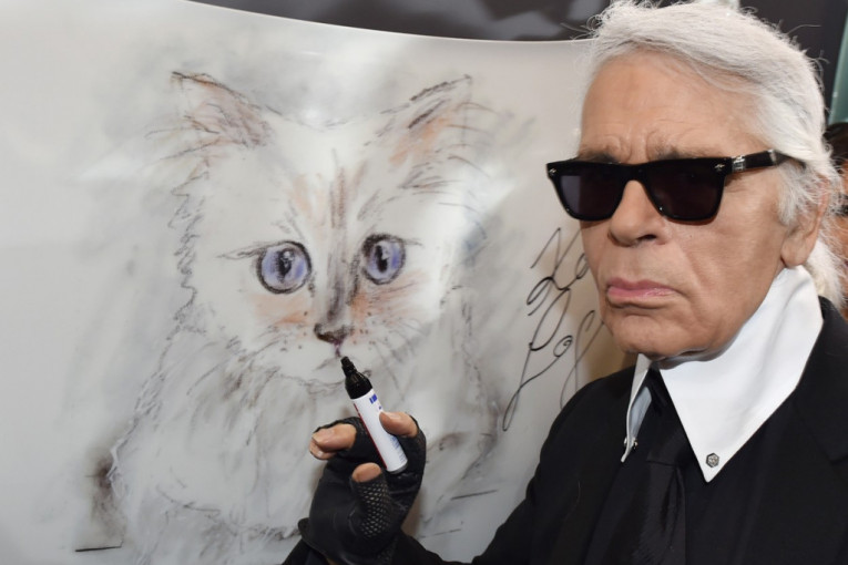 Sećate se mačke Šupet, naslednice Karla Lagerfelda? Sad dizajnira nameštaj (VIDEO)