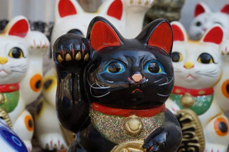 Mini-muzej mačaka ima čak 1.000 kolekcionarskih predmeta inspirisanih – mačkom