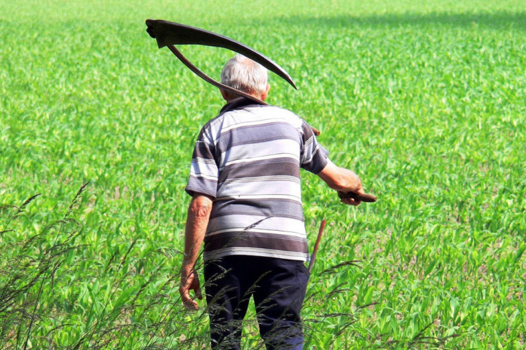 Novi predlozi na razmatranju: Visina penzije poljoprivrednika zavisiće od veličine njive
