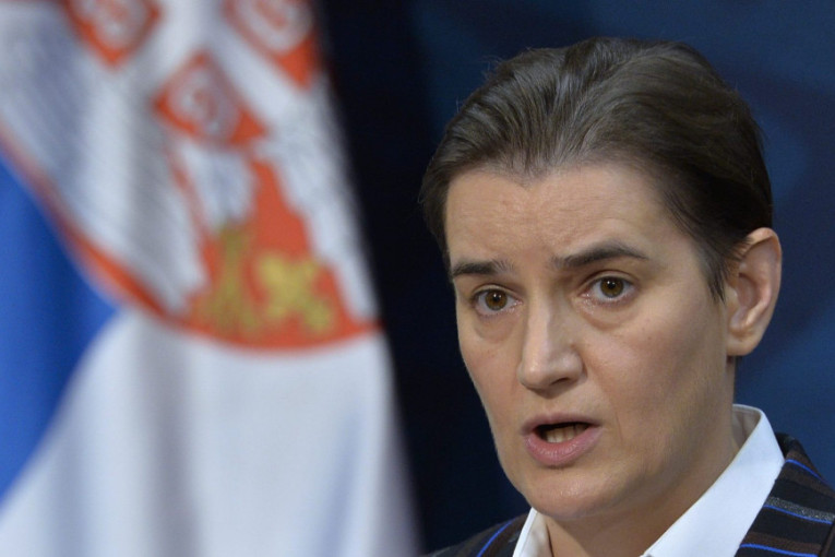 Srbija spremna za otvaranje novih poglavlja: Brnabićeva se sastala sa ambasadorom Austrije