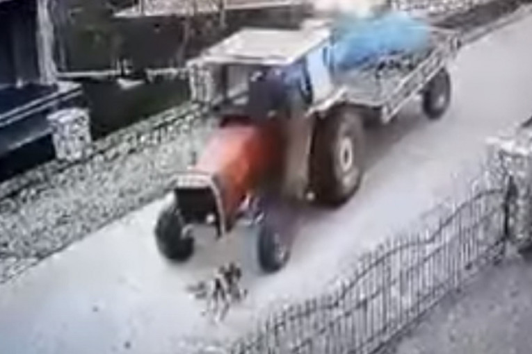 Horor scena u Gračanici: Monstrum jurio psa traktorom dok ga nije pregazio (UZNEMIRUJUĆI VIDEO)