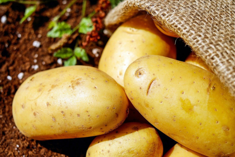 Kada je krompir u nevolji: Svetli ako je pod stresom