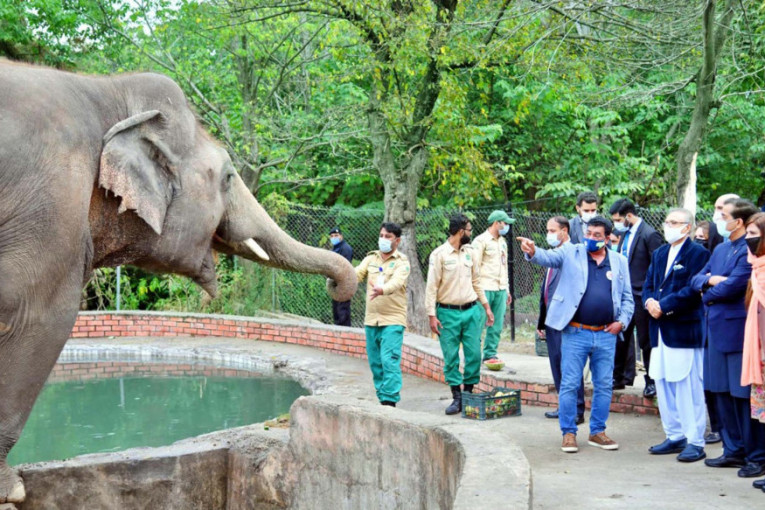 Najusamljeniji slon na svetu dobija novi dom