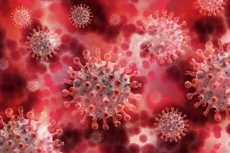 Jedna krvna grupa je otpornija na koronavirus? Naučnici su na pragu velikog otkrića