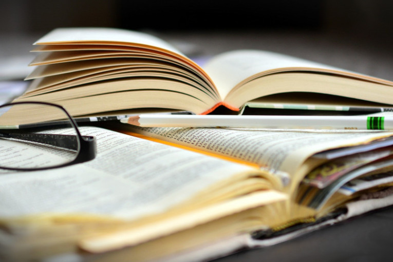 Bira se najlepša reč srpskog jezika