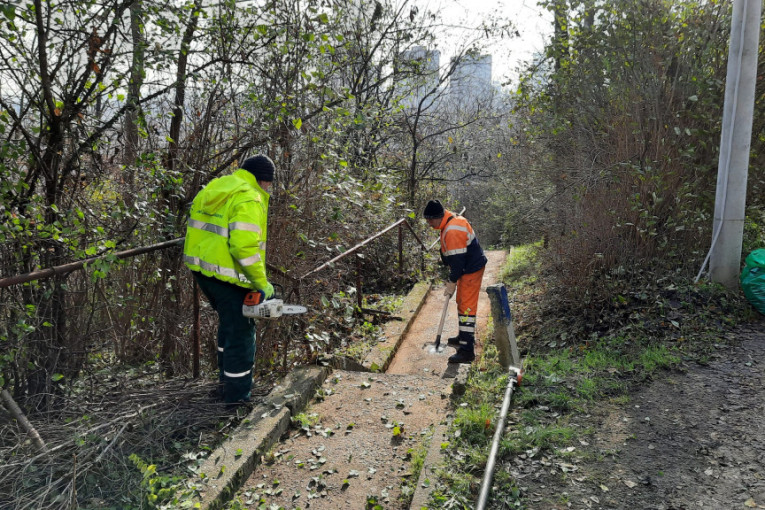 Akcija komunalnih preduzeća: Očišćeno stepenište kod Izletničkog puta u Zemunu