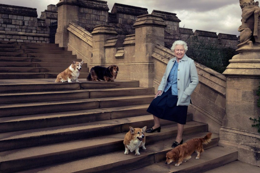 Raznežiće vas razlog zbog kog je kraljica Elizabeta odbila da joj unuka pokloni psa