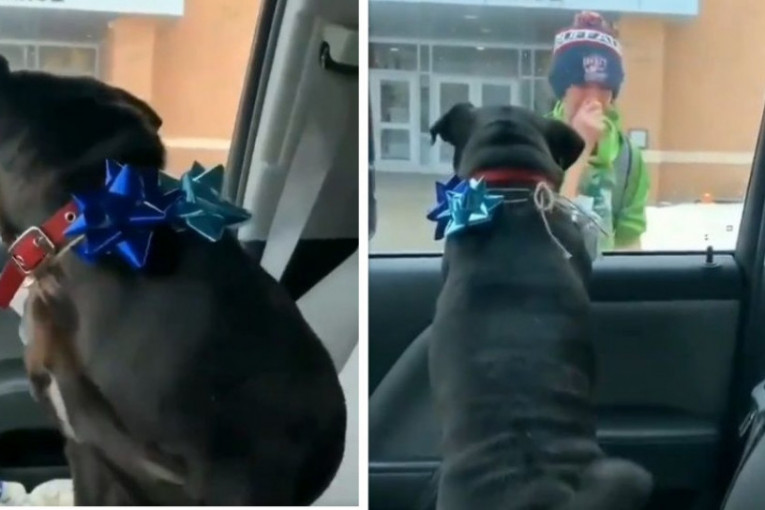 Koliko emocija: Pas bio izgubljen dve nedelje, a njegov susret sa dečakom mnogima je naterao suze (VIDEO)