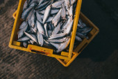 Ribnjaci puni i čekaju kupce: Korona prepolovila potražnju za ribom
