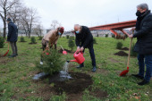 Nastavlja se akcija „Drvo za Beograd”: Za "zelenu prestonicu" doprinos daje sve veći broj kompanija
