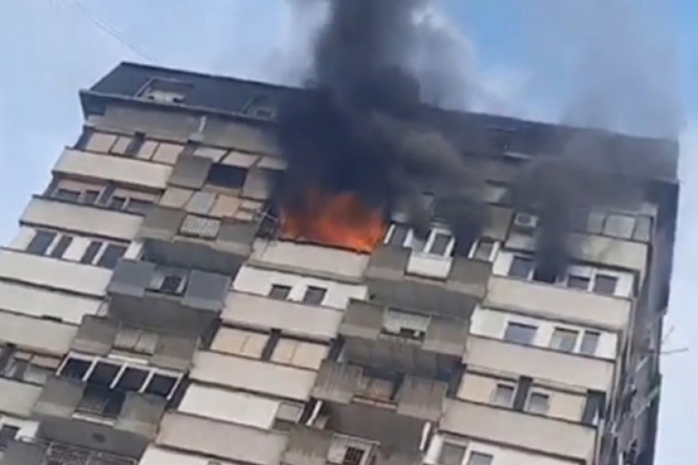 Veliki požar u Novom Sadu: Gori stan na 13. spratu (VIDEO)