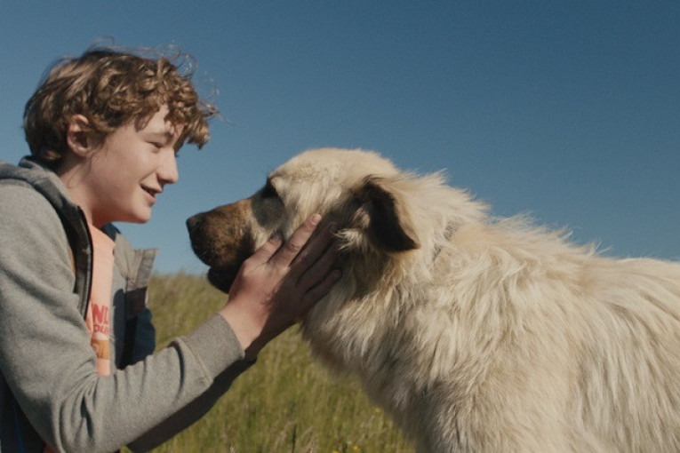 Srpsko-makedonski film „Stela“ od danas u bioskopima: Dirljiva priča o dečaku i psu (FOTO+VIDEO)