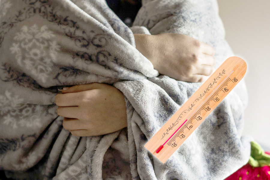 Zima sve bliže a peleta nema: Na stovarištima nestašica sve popularnijeg goriva