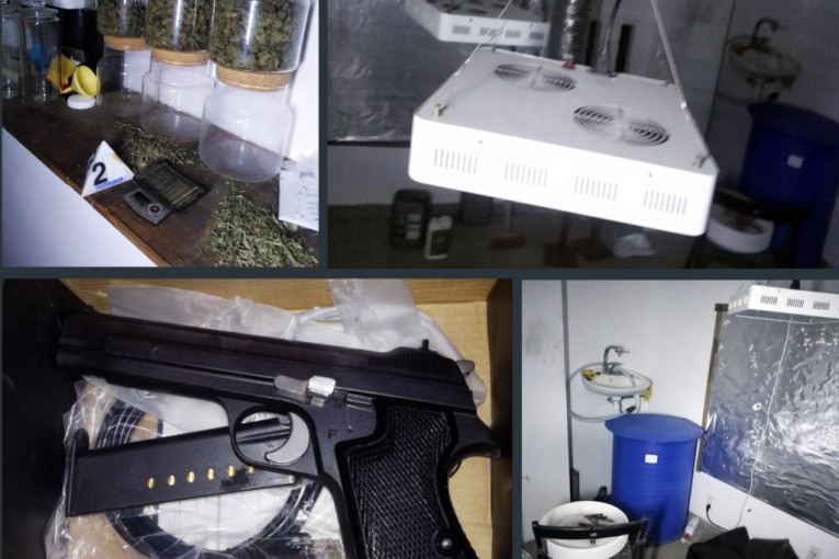 Policija upala u stan Beograđanina i pronašla laboratoriju za proizvodnju droge, marihuanu i pištolj! (VIDEO)