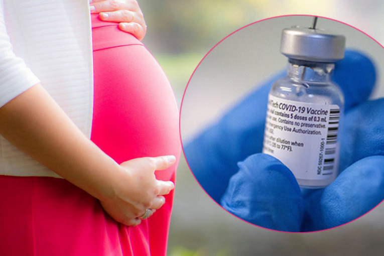 Da li bi trudnice trebalo da se vakcinišu? Prof. dr Mitrović iznela jasan stav i rešila nedoumice
