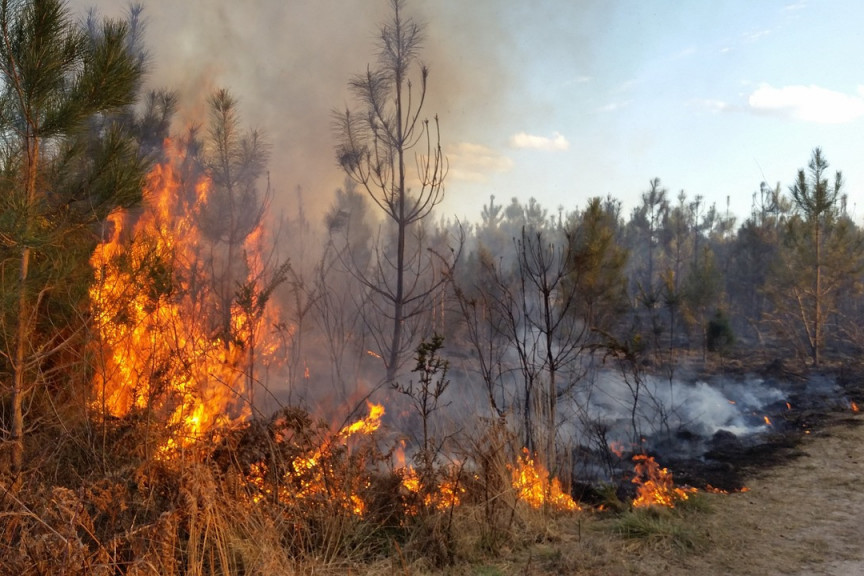 Požar kod manastira Sopoćani: Sumnja se da je neko namerno zapalio šumu