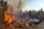 Grom zapalio šumu kod Kraljeva! Vatra guta 40 ari, vatrogasci se bore sa stihijom