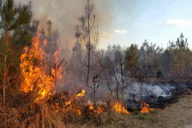 Požar u Hrvatskoj se širi: Vatrogasci pokušavaju da obuzdaju vatrenu stihiju (VIDEO)