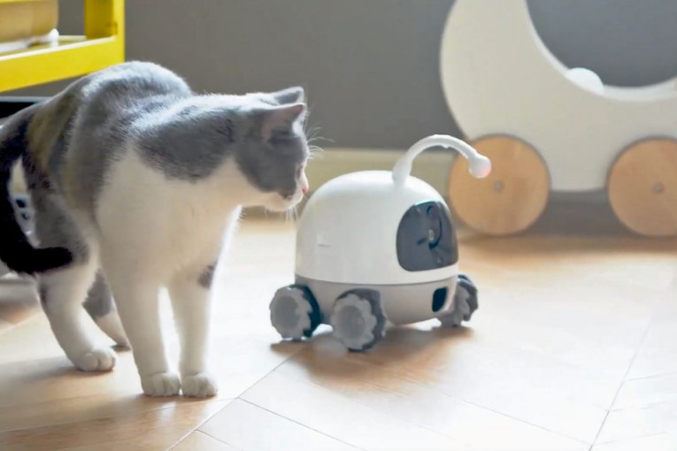 Upoznajte Rokija, robota koji zabavlja, hrani i strimuje video za vlasnika kada je ljubimac sam kod kuće