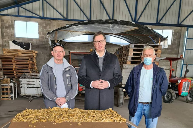 Vučić danas u Sremu: Obišao poljoprivredno gazdinstvo proizvođača duvana u Golubincima