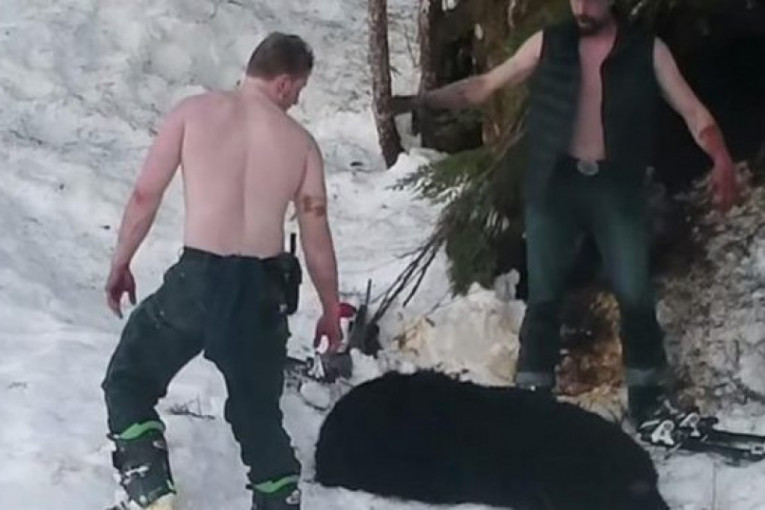 Otac i sin ubili ženku medveda i mladunče dok su spavali zimski san: Nisu znali da se sve snima (UZNEMIRUJUĆI VIDEO)