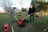 Da leva obala Save bude zelena oaza: Nastavljena akcija „Drvo za Beograd”