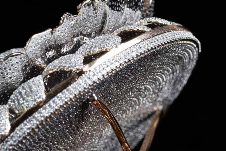 Raskoš na indijski način: Prsten sa 12.638 dijamanata ušao u Ginisovu knjigu rekorda
