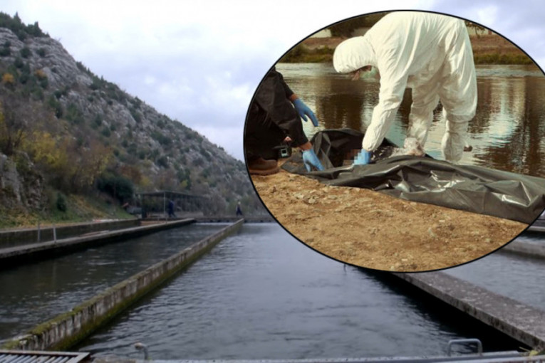 Jeziva scena kod Mostara: Pronađeno telo na rešetkama ribnjaka