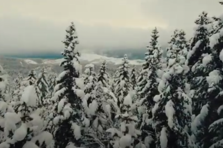 U komšiluku veje li veje: Zabelela se Kranjska gora (FOTO/VIDEO)