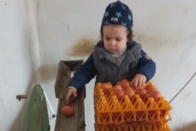 Dečak koji je sa samo 20 meseci osvojio Srbiju: Maleni Jakov iz Užica bez greške klasira jaja u porodičnoj radionici (FOTO+VIDEO)