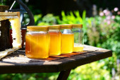 Srpski pčelari planiraju izvoz još tri-četiri šlepera meda za Italiju